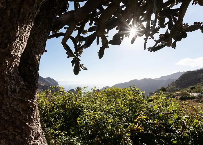 Tenohomes The Sunset Escape In Carrizales, Masca Buenavista del Norte