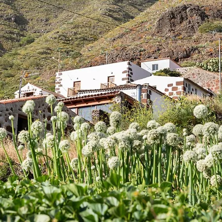 Chalet Home2book Nature Carrizales And Masca House & Wifi