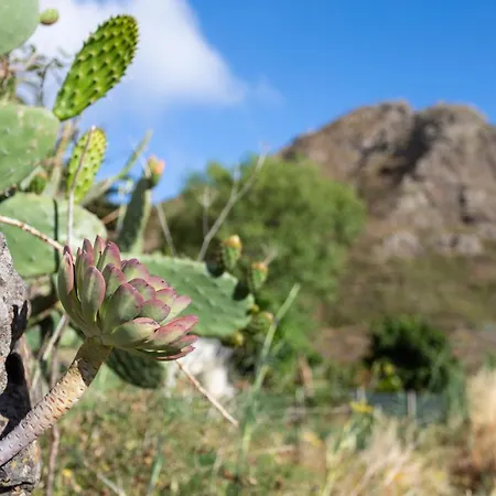 Home2book Nature Carrizales And Masca House & Wifi *