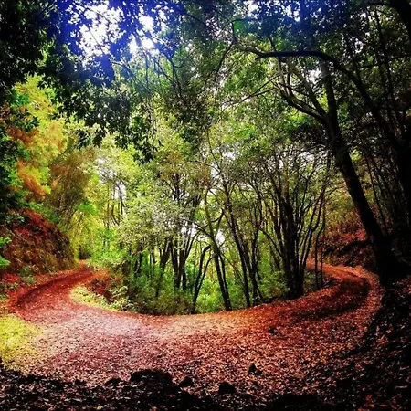 Tenohomes The Sunset Escape In Carrizales, Masca