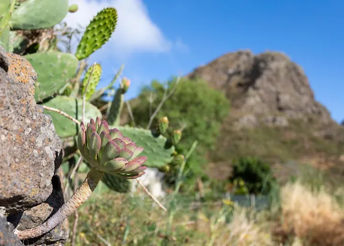 Tenohomes The Sunset Escape In Carrizales, Masca *