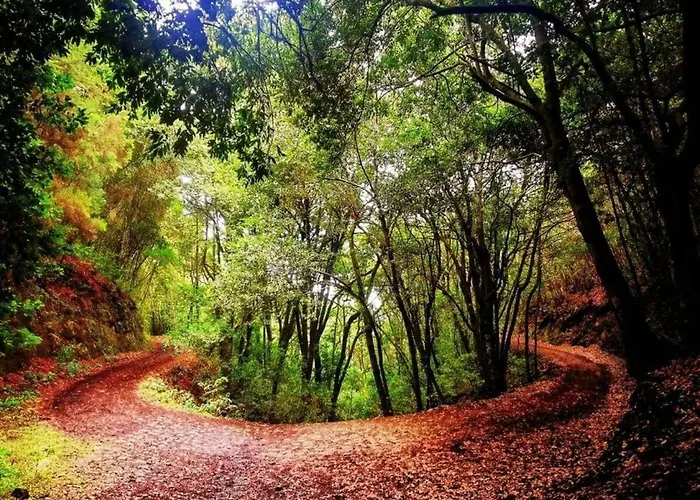 Tenohomes The Sunset Escape In Carrizales, Masca